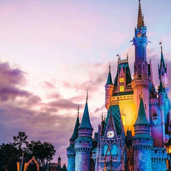 Meet your Posher💜 - Picture 2 of 9